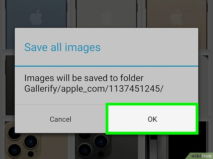 Download All Images on a Web Page at Once Step 12 Version 3.jpg