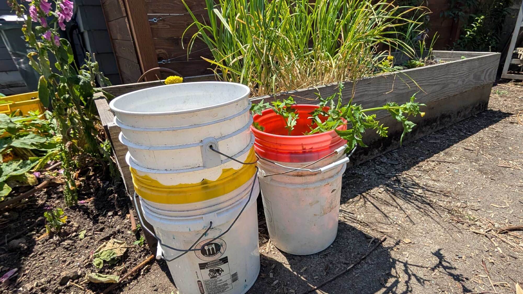5 gallon buckets being used for weed collection
